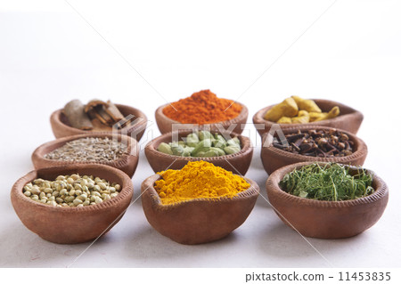 Variety of Indian spices in diyas over white background 11453835