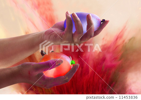 Close-up of hands holding water bombs during Holi festival 11453836