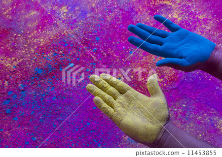 Close-up of hands showing blue and yellow power paint during Holi festival 11453855