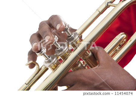 Close-up of hands on trumpet 11454074