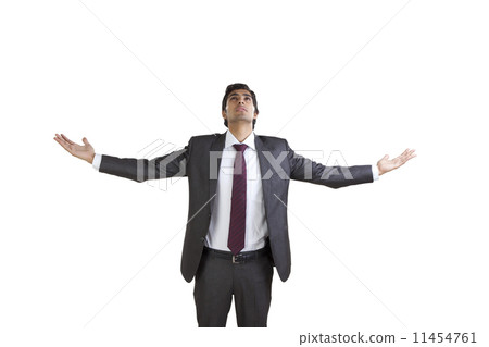 Business executive enjoying with arms outstretched 11454761