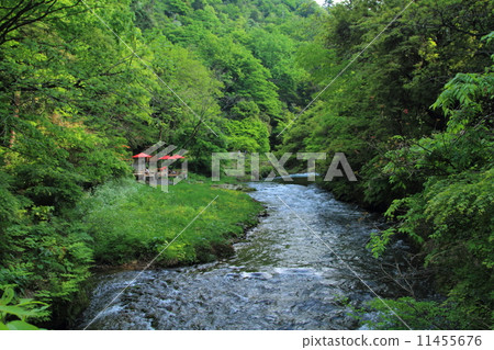 山中溫泉起重機隧道 11455676