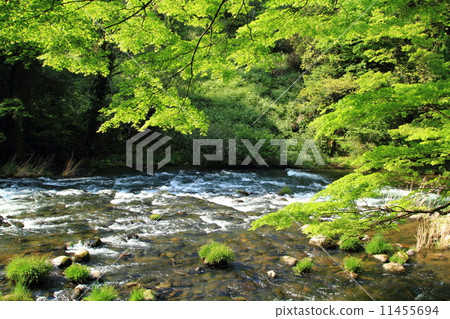 Yamanaka Onsen Crane tunnel 11455694