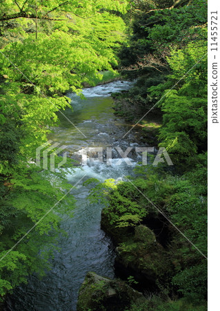 山中溫泉起重機隧道 11455721