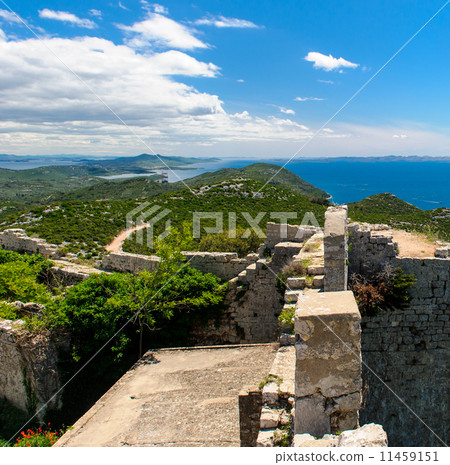 Beautiful nature landscape  11459151
