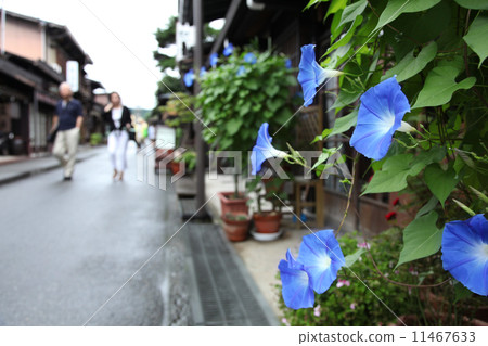 天堂般的藍色 11467633