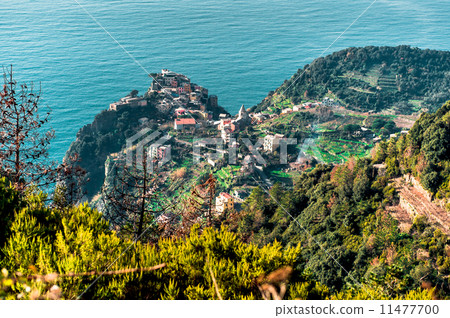 Birds Eye View of Riomaggiore Birds Eye View of Riomaggiore 11477700