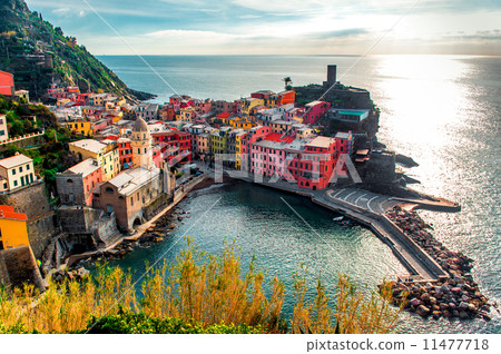 Aerial view of Vernazza  11477718