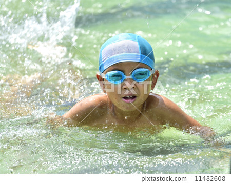 Swimming competition Swimming competition 11482608