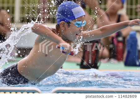 Swimming competition Swimming competition 11482609