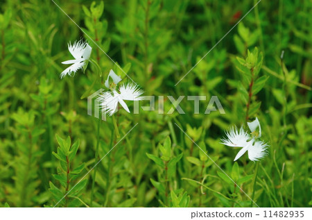 三節課 三節課 11482935