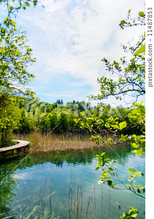 Plitvice Lakes National Park in Croatia, beautiful landscape Plitvice Lakes National Park in Croatia, beautiful landscape 11487853