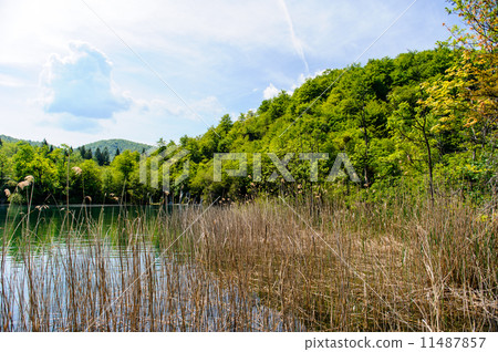 Plitvice Lakes National Park in Croatia, beautiful landscape Plitvice Lakes National Park in Croatia, beautiful landscape 11487857
