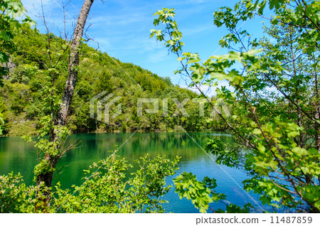Plitvice Lakes National Park in Croatia, beautiful landscape 11487859