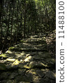 Kumano Kodo Ise Road 11488100