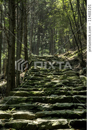 Kumano Kodo Ise Road 11488101