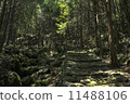 Kumano Kodo Ise Road 11488106