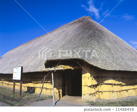 Sannai Maruyama ruins, Aomori 11488459