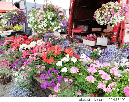 Market Square Market Square 11488491