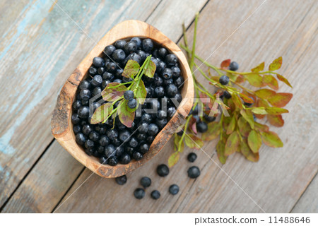 Fresh blueberry 11488646