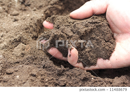 田間土壤 11488679