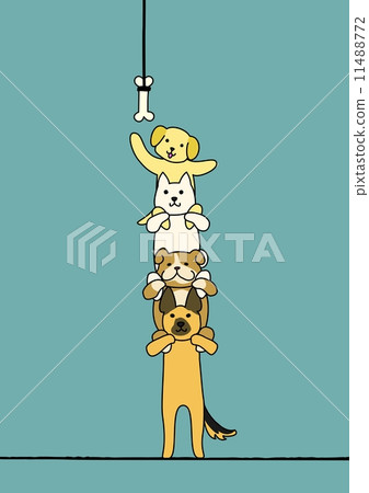 Cooperation 11488772