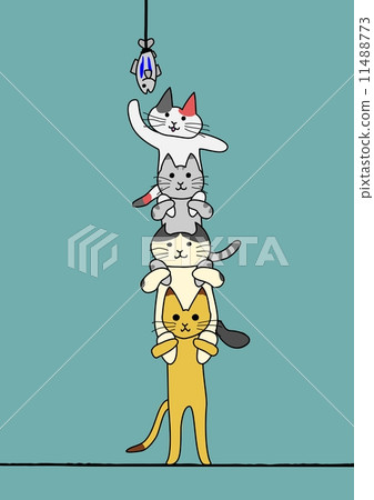 Cooperation 11488773