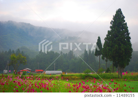 Fall of the Hirugano Plateau 11489155