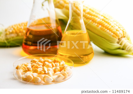 Corn biofuel Corn biofuel 11489174