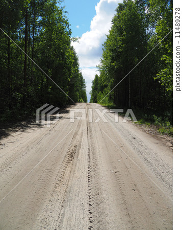 dirt road in the woods dirt road in the woods 11489278