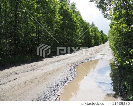 dirt road in the woods dirt road in the woods 11489280
