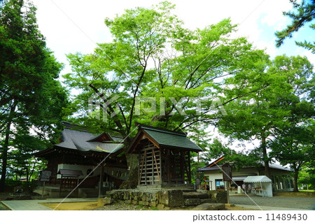 Kawanakajima Battlefield Yawata Company 11489430