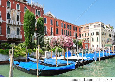 parking of gondolas near Ponte di Rialto in Venice 11489507