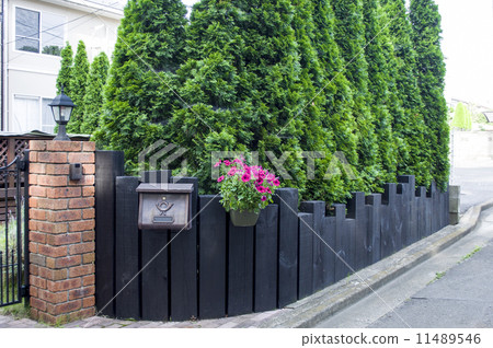 A hedge A hedge 11489546