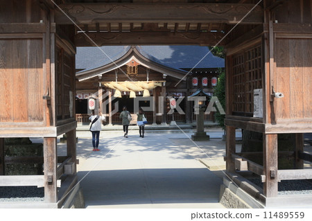 Marriage Yaegaki shrine 11489559