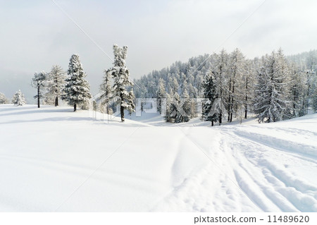 snow ski run in skiing area Via Lattea Italy 11489620