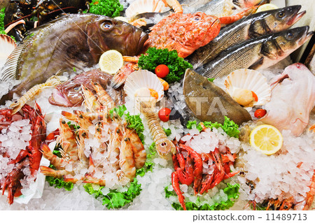 raw fish and seafood in ice raw fish and seafood in ice 11489713