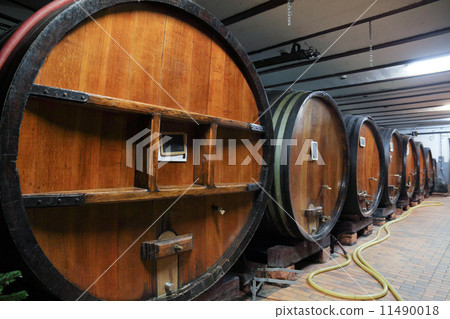 Oak wine barrels in a wine cellar Oak wine barrels in a wine cellar 11490018