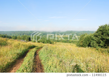 country road on green meadow in summer day 11490115