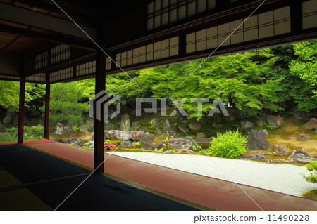 Yeondeok花園 11490228