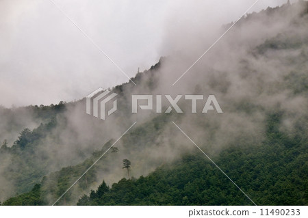Sea of clouds 11490233