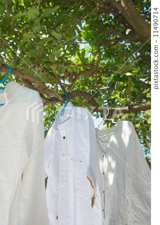 Hang clothes 11490714