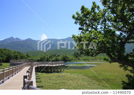 北海道，初夏 11490870