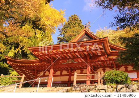 Shinshan Shrine（奈良）的秋葉 11490900
