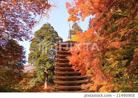 Autumn leaves of Shinshan Shrine (Nara) Autumn leaves of Shinshan Shrine (Nara) 11490908