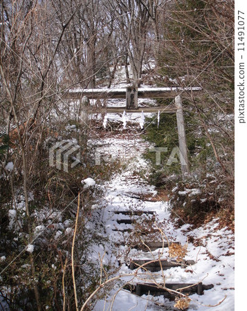 Palace of the snow Palace of the snow 11491077
