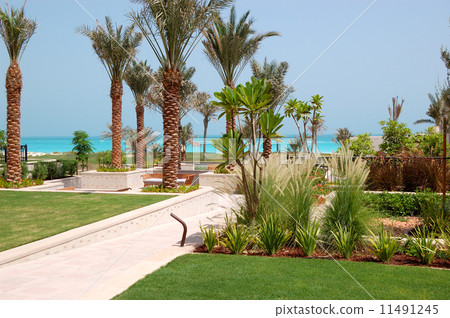 The decoration of luxury hotel, Saadiyat island, Abu Dhabi, UAE The decoration of luxury hotel, Saadiyat island, Abu Dhabi, UAE 11491245