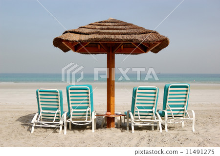 Beach of the luxury hotel, Ajman, UAE 11491275