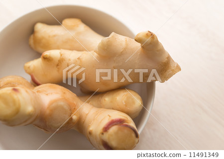 Root ginger 11491349