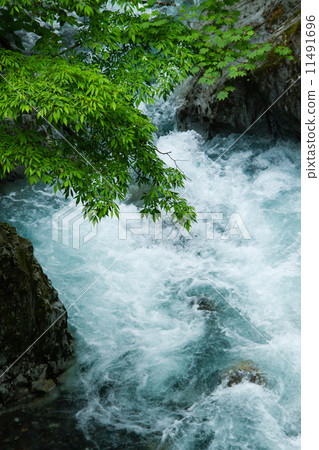 Uonuma City, Niigata Prefecture Koshihikari from Uonuma and the clear stream that raises fish · Shallow autumn leaves of the Sato River 11491696